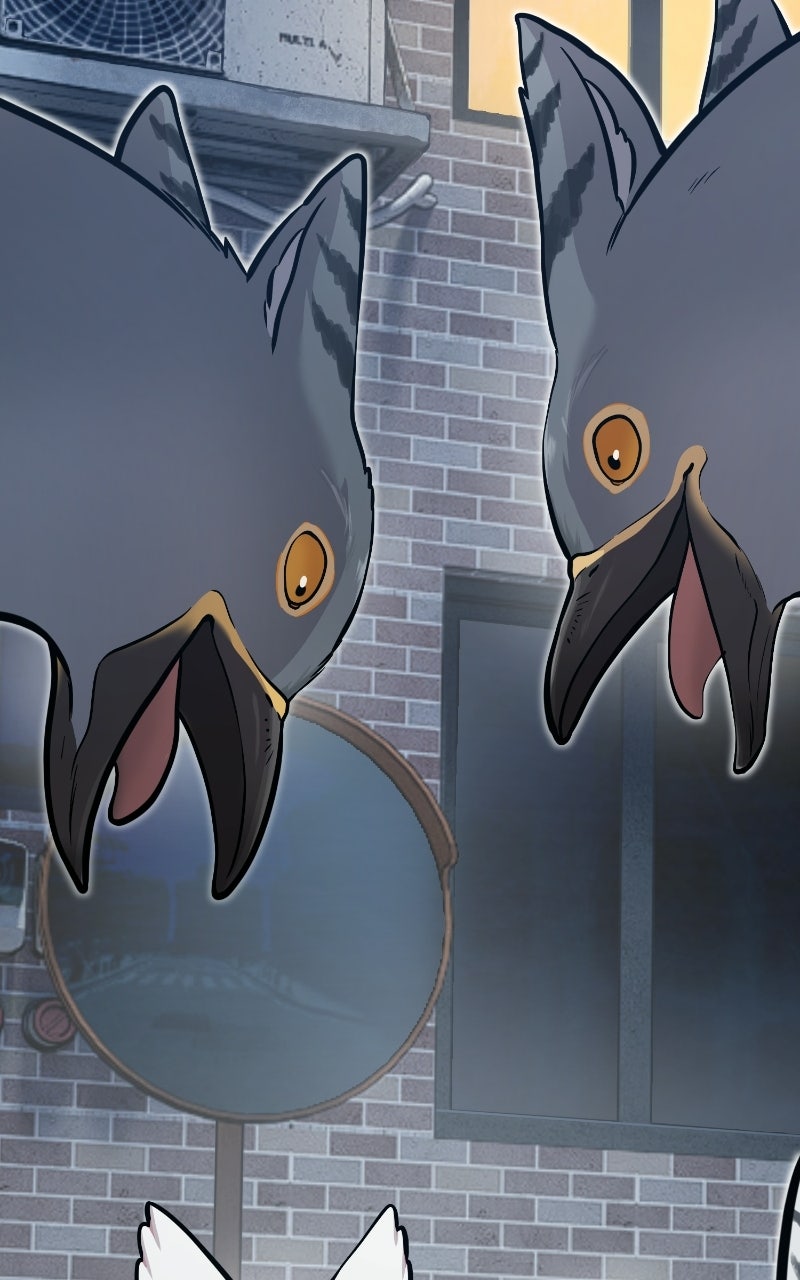 Read Hello, Little Griffin! chapter 41 image 14 on Lezhin
