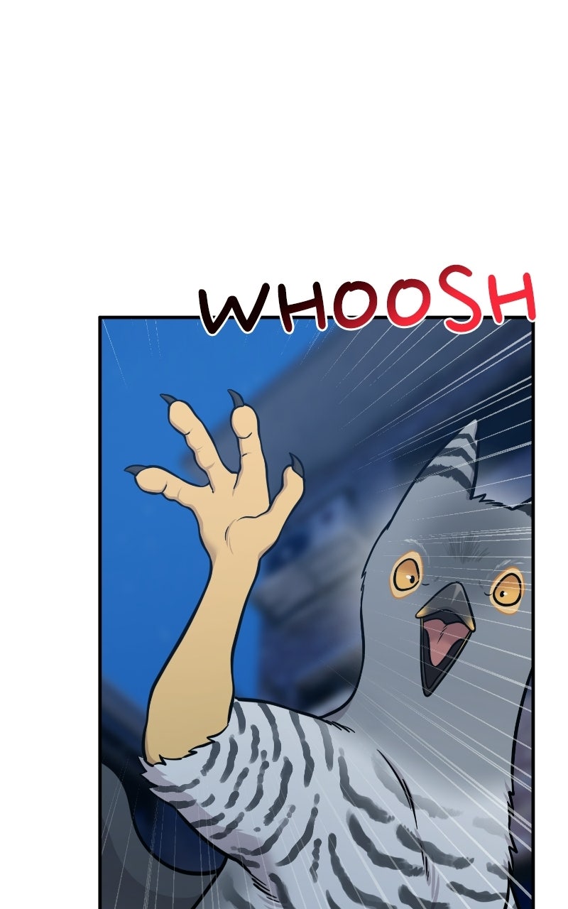 Read Hello, Little Griffin! chapter 41 image 37 on Lezhin