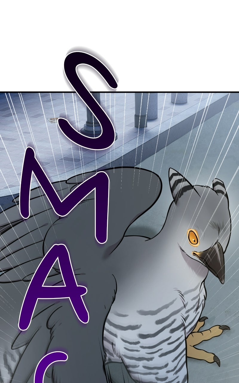 Read Hello, Little Griffin! chapter 41 image 68 on Lezhin
