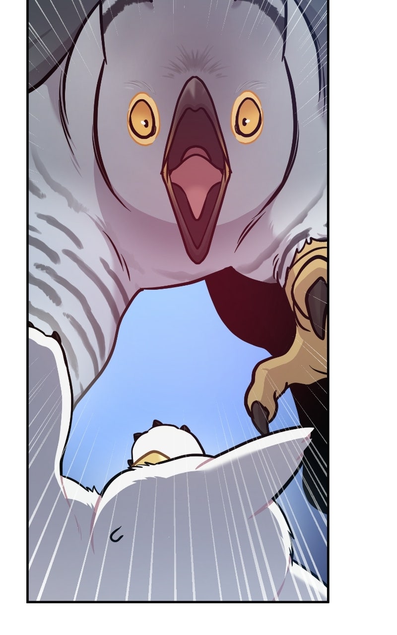 Read Hello, Little Griffin! chapter 41 image 72 on Lezhin