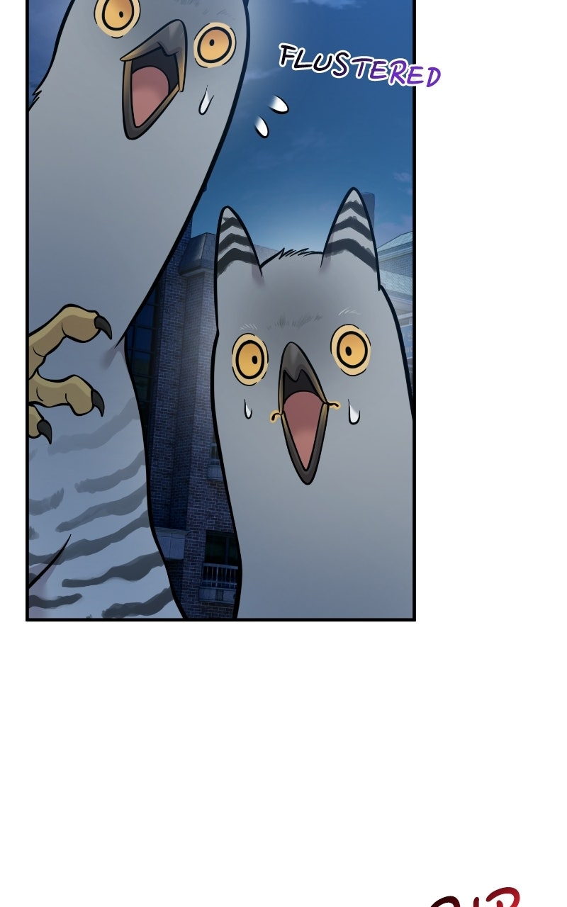 Read Hello, Little Griffin! chapter 41 image 94 on Lezhin