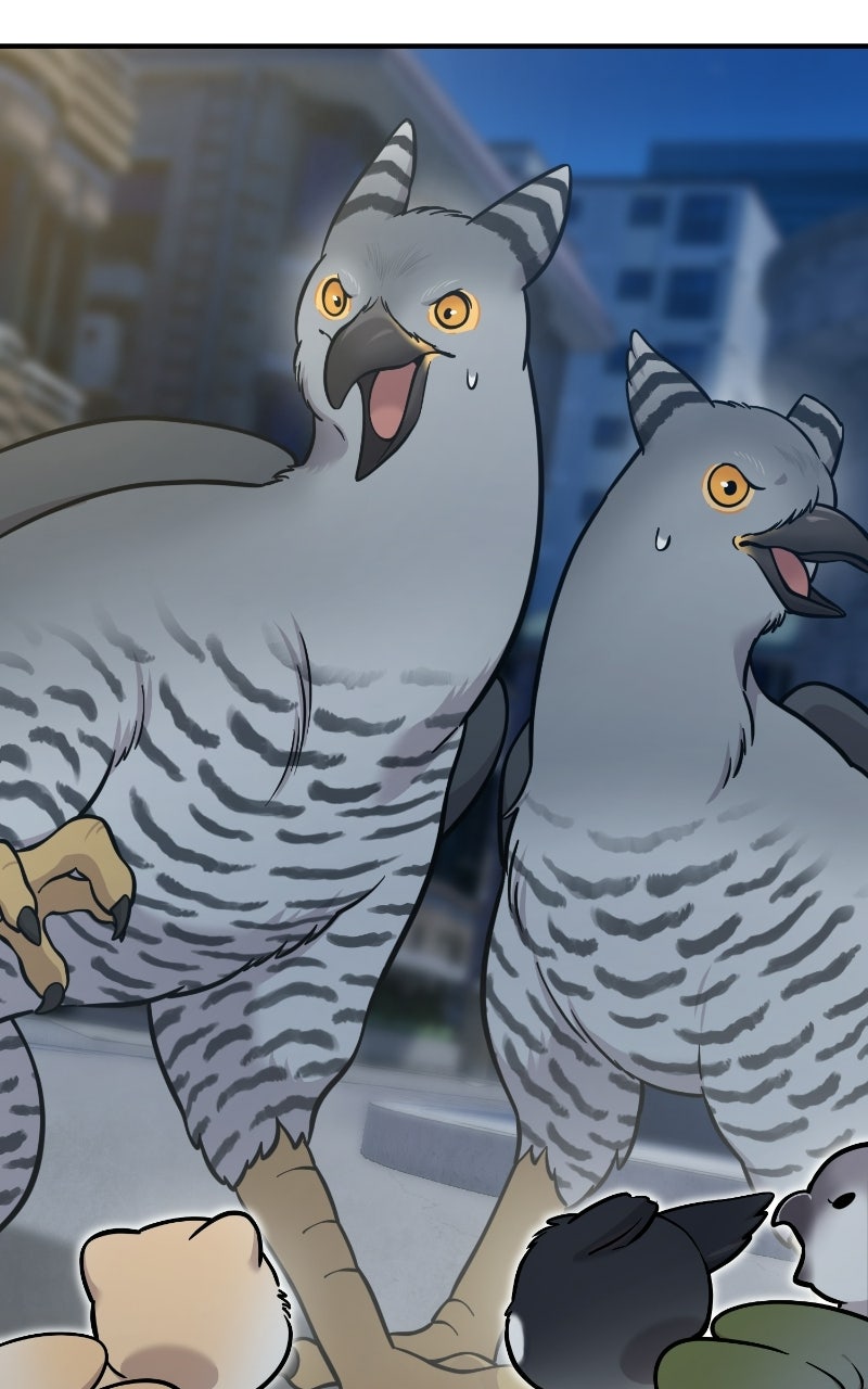 Read Hello, Little Griffin! chapter 42 image 6 on Lezhin