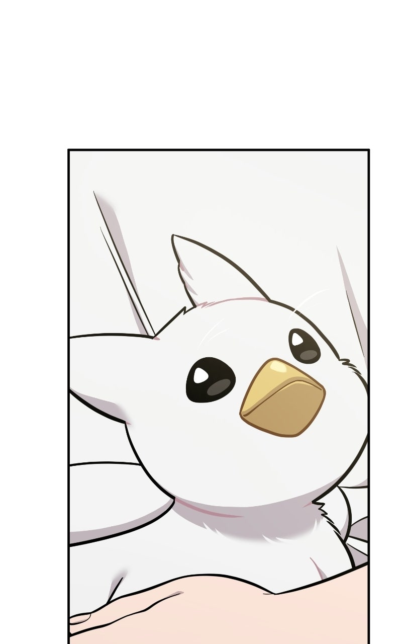 Read Hello, Little Griffin! chapter 42 image 64 on Lezhin