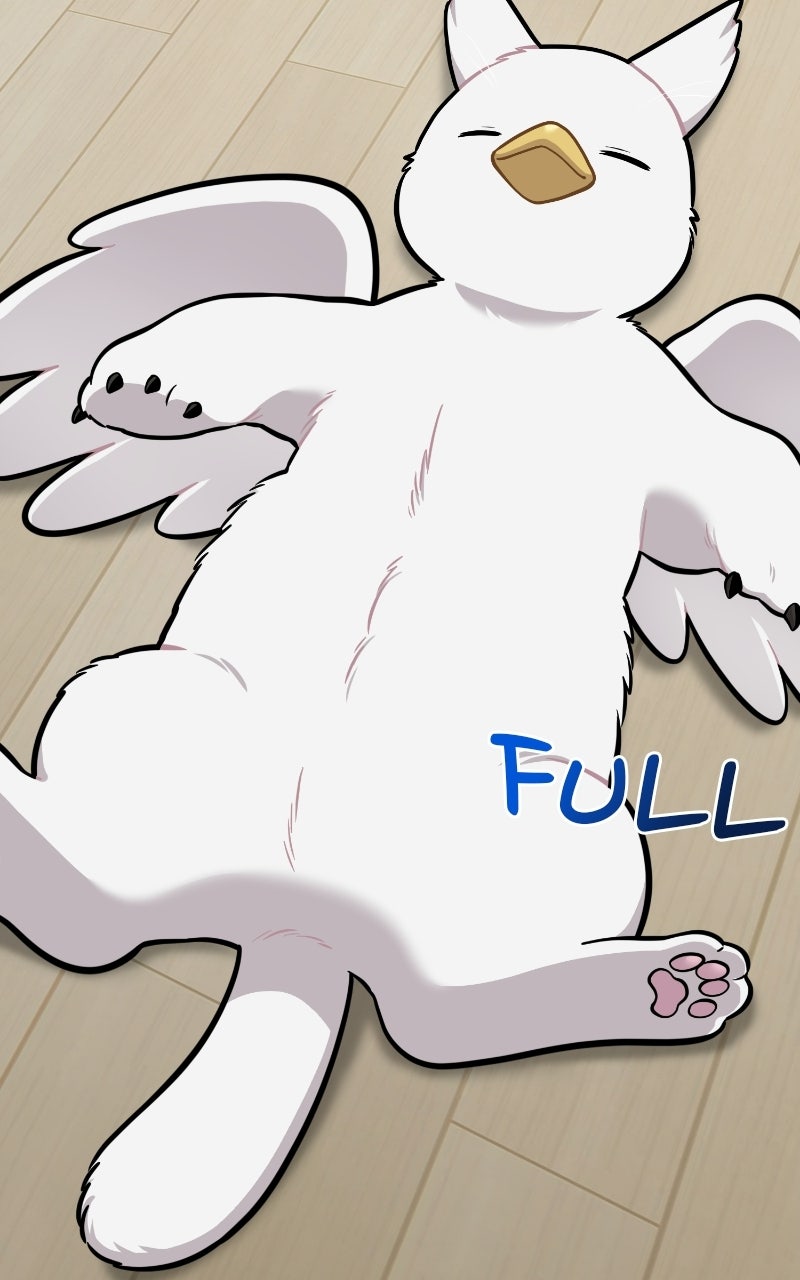Read Hello, Little Griffin! chapter 42 image 72 on Lezhin