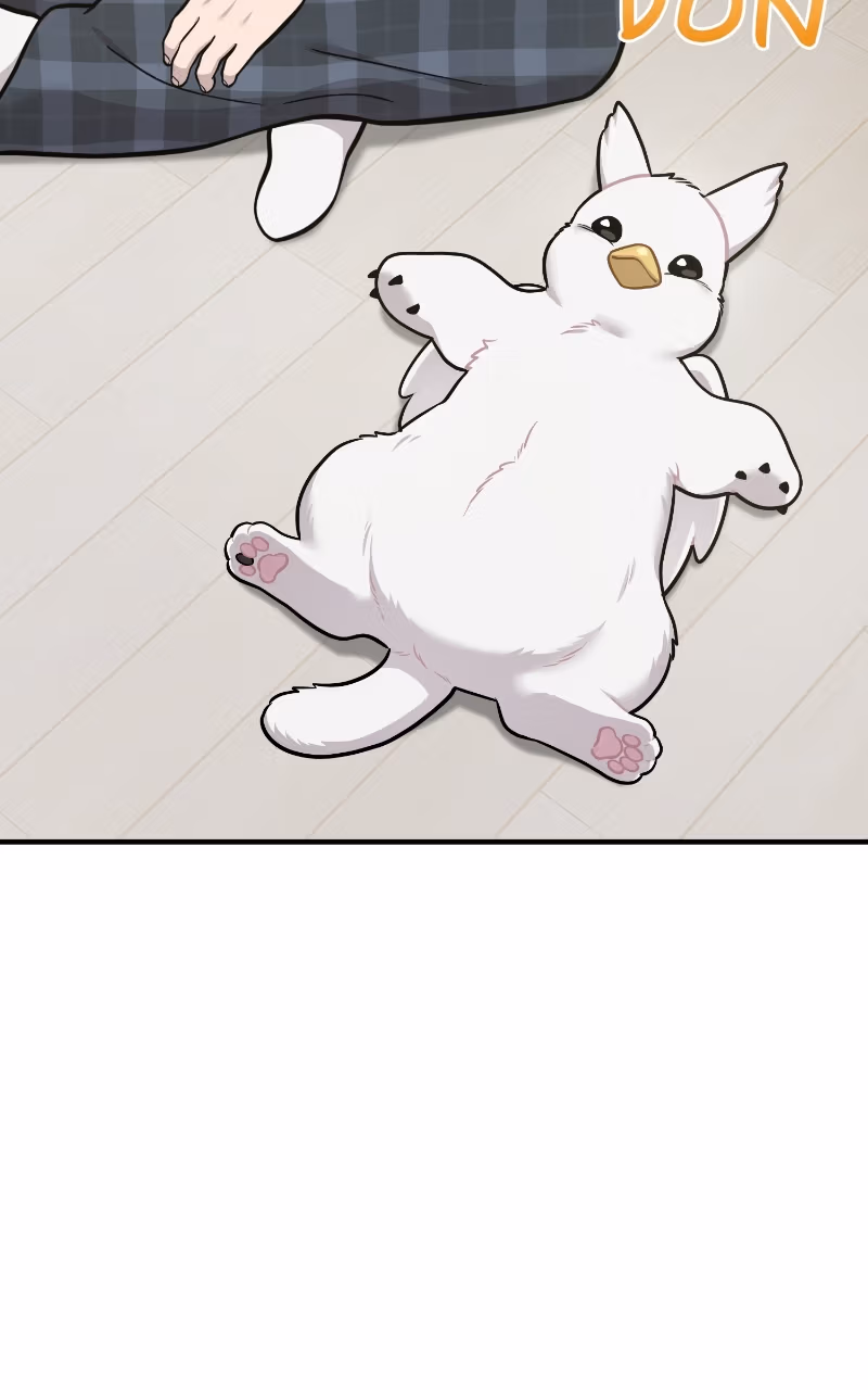 Read Hello, Little Griffin! chapter 46 image 104 on Lezhin