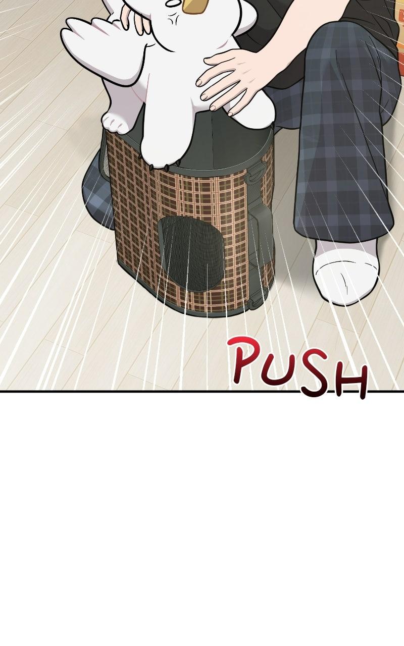 Read Hello, Little Griffin! chapter 48 image 5 on Lezhin