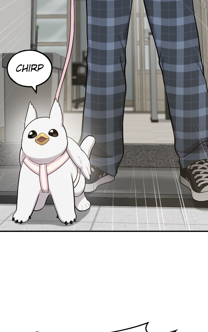 Read Hello, Little Griffin! chapter 5 image 103 on Lezhin