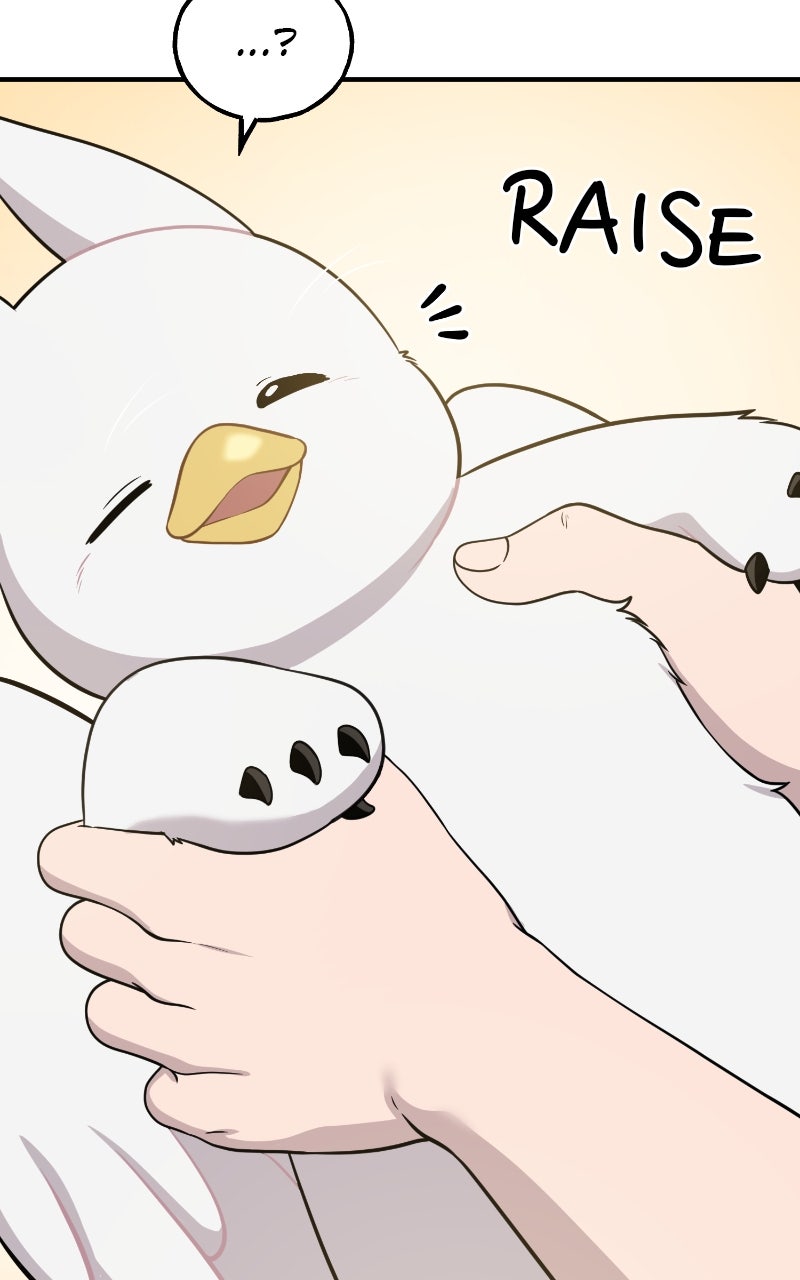 Read Hello, Little Griffin! chapter 5 image 68 on Lezhin
