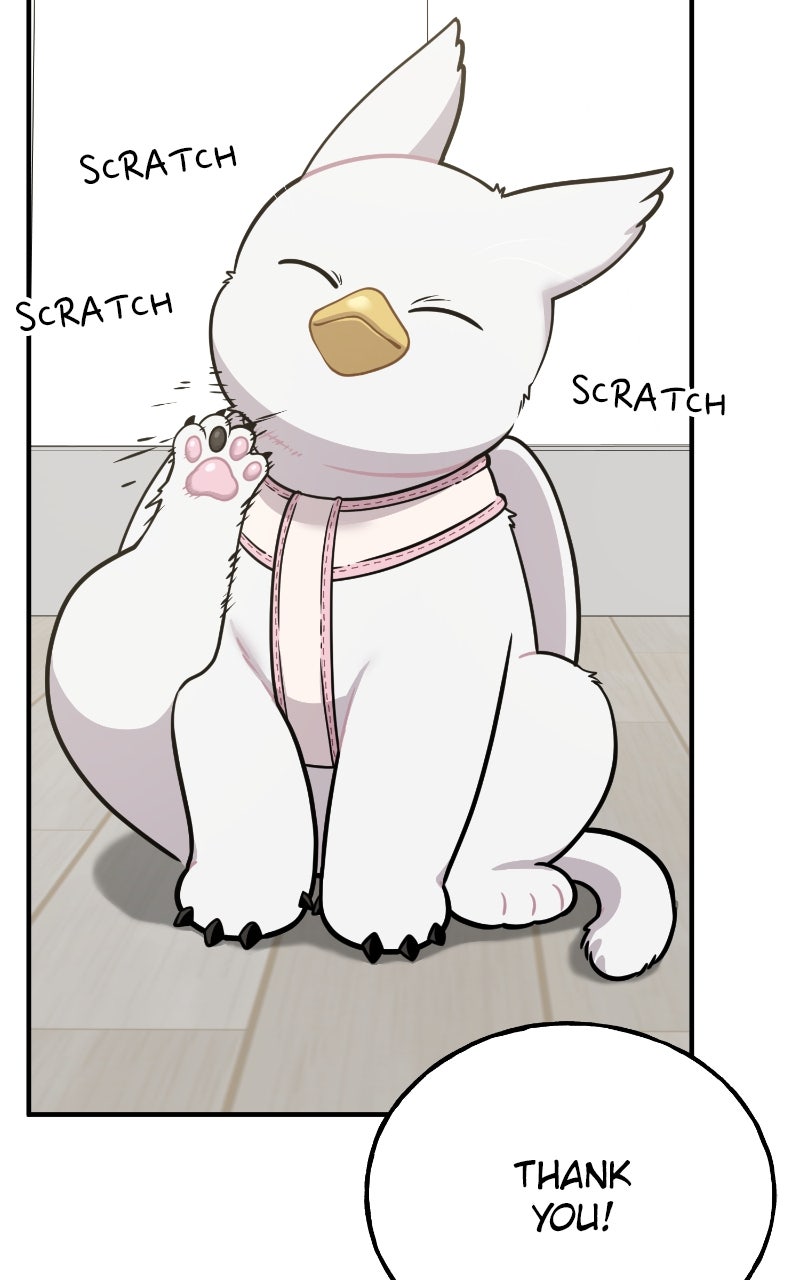 Read Hello, Little Griffin! chapter 6 image 1 on Lezhin