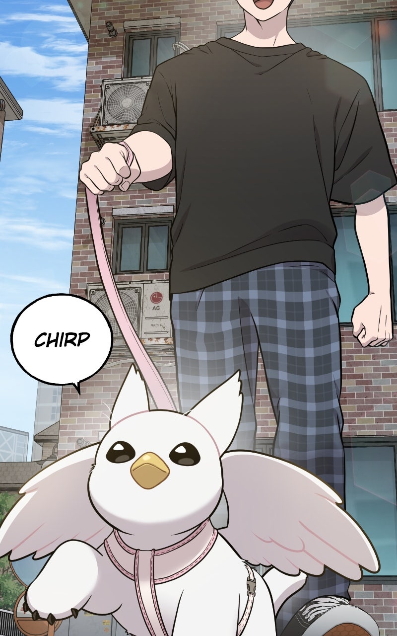 Read Hello, Little Griffin! chapter 6 image 24 on Lezhin