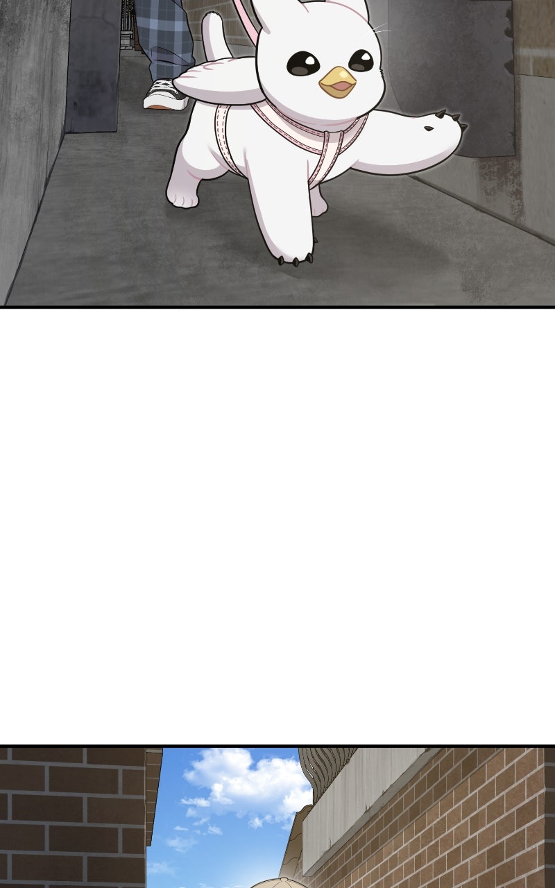 Read Hello, Little Griffin! chapter 6 image 29 on Lezhin