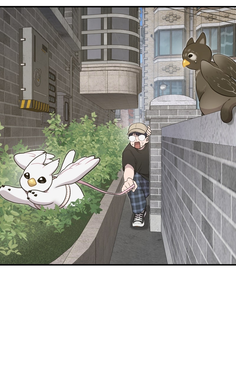 Read Hello, Little Griffin! chapter 6 image 31 on Lezhin