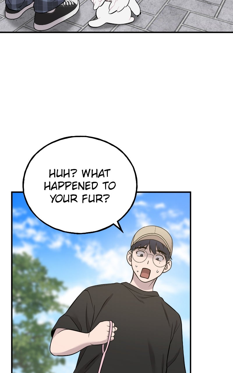 Read Hello, Little Griffin! chapter 6 image 48 on Lezhin