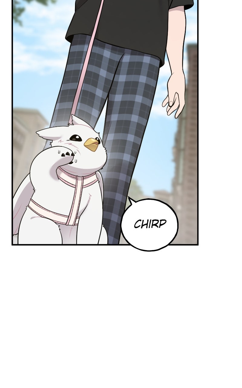 Read Hello, Little Griffin! chapter 6 image 49 on Lezhin