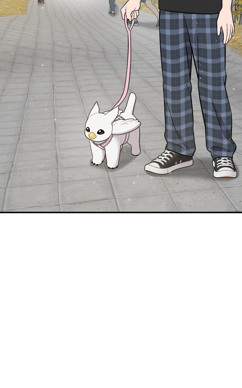 Read Hello, Little Griffin! chapter 6 image 55 on Lezhin