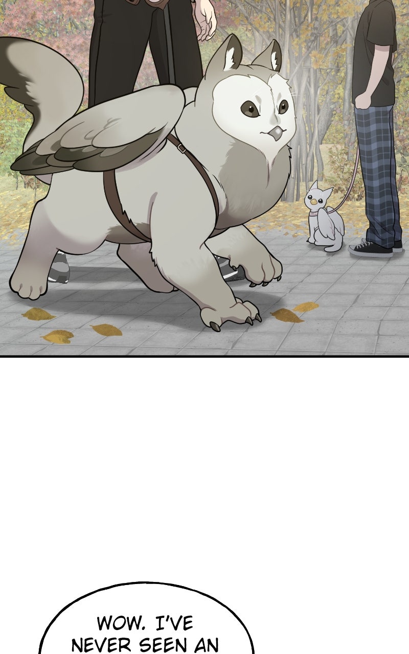 Read Hello, Little Griffin! chapter 6 image 57 on Lezhin