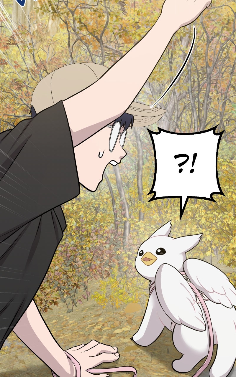Read Hello, Little Griffin! chapter 6 image 66 on Lezhin
