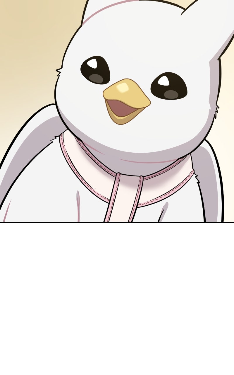 Read Hello, Little Griffin! chapter 6 image 83 on Lezhin