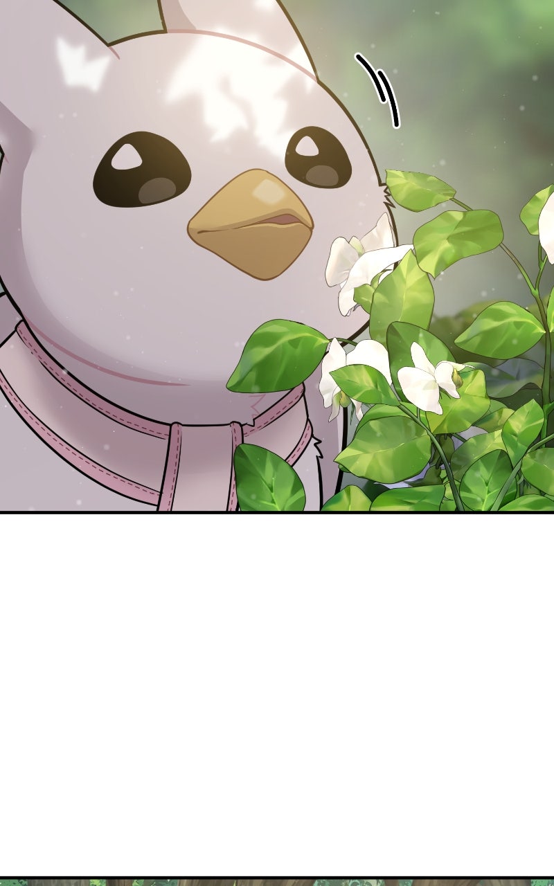Read Hello, Little Griffin! chapter 6 image 91 on Lezhin