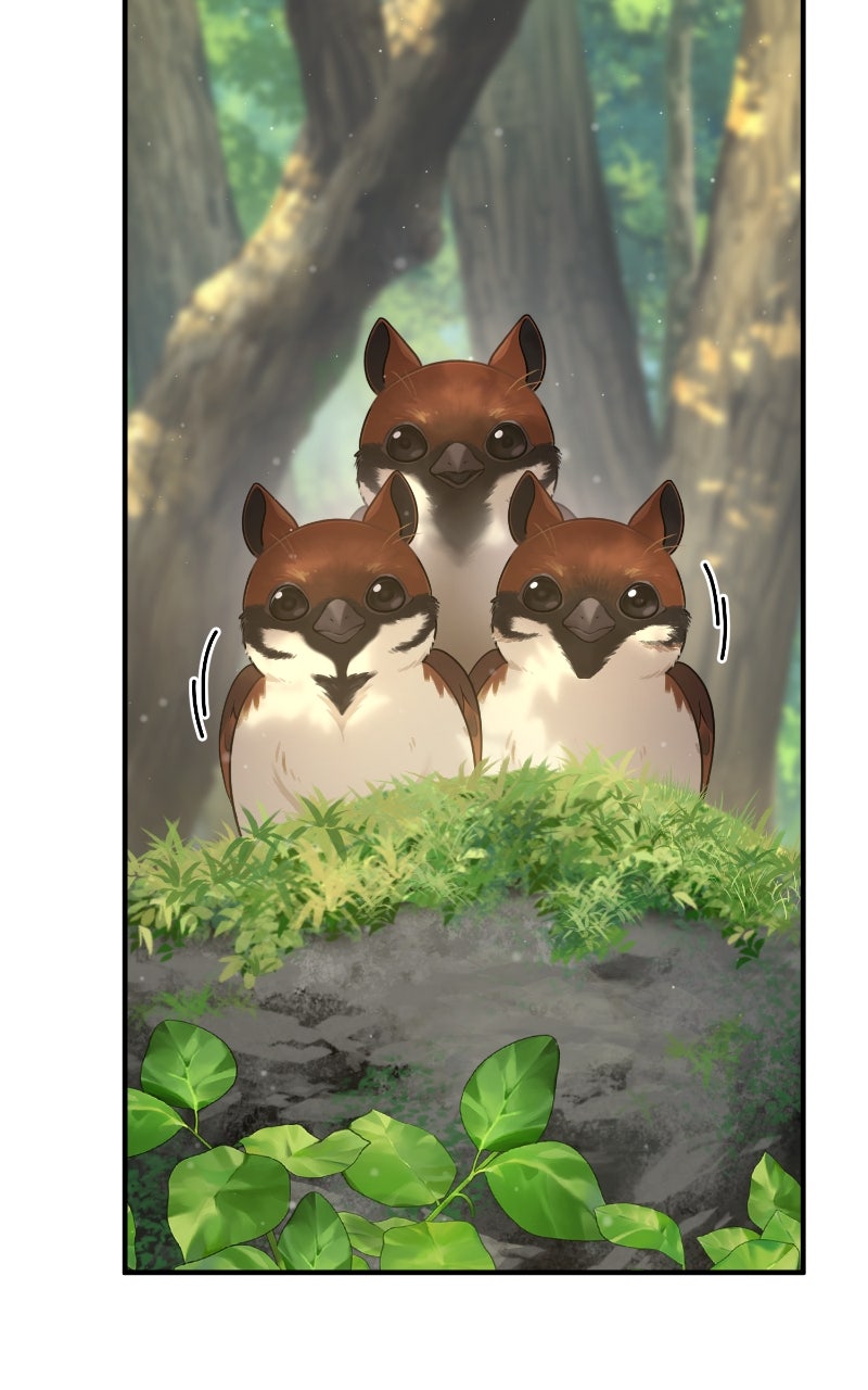 Read Hello, Little Griffin! chapter 6 image 95 on Lezhin