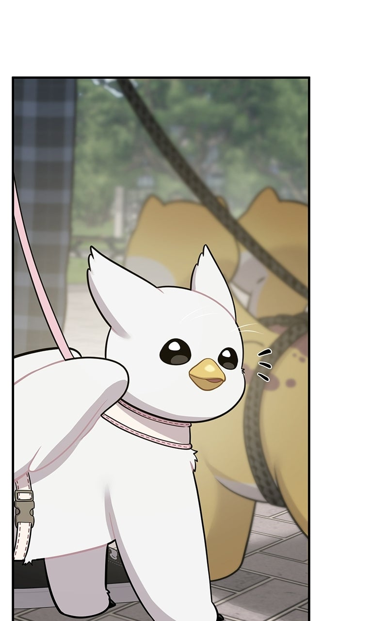 Read Hello, Little Griffin! chapter 7 image 31 on Lezhin