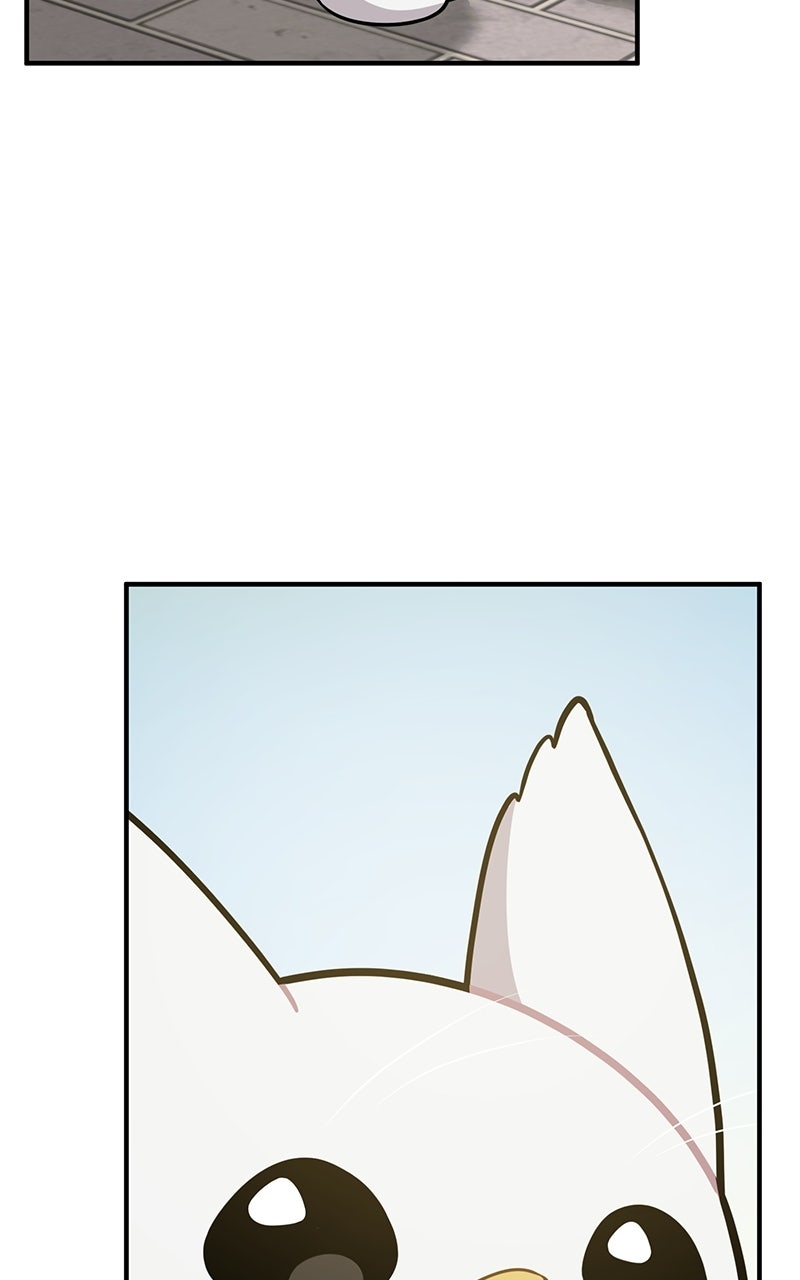Read Hello, Little Griffin! chapter 7 image 32 on Lezhin