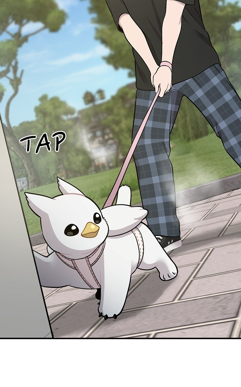 Read Hello, Little Griffin! chapter 7 image 38 on Lezhin