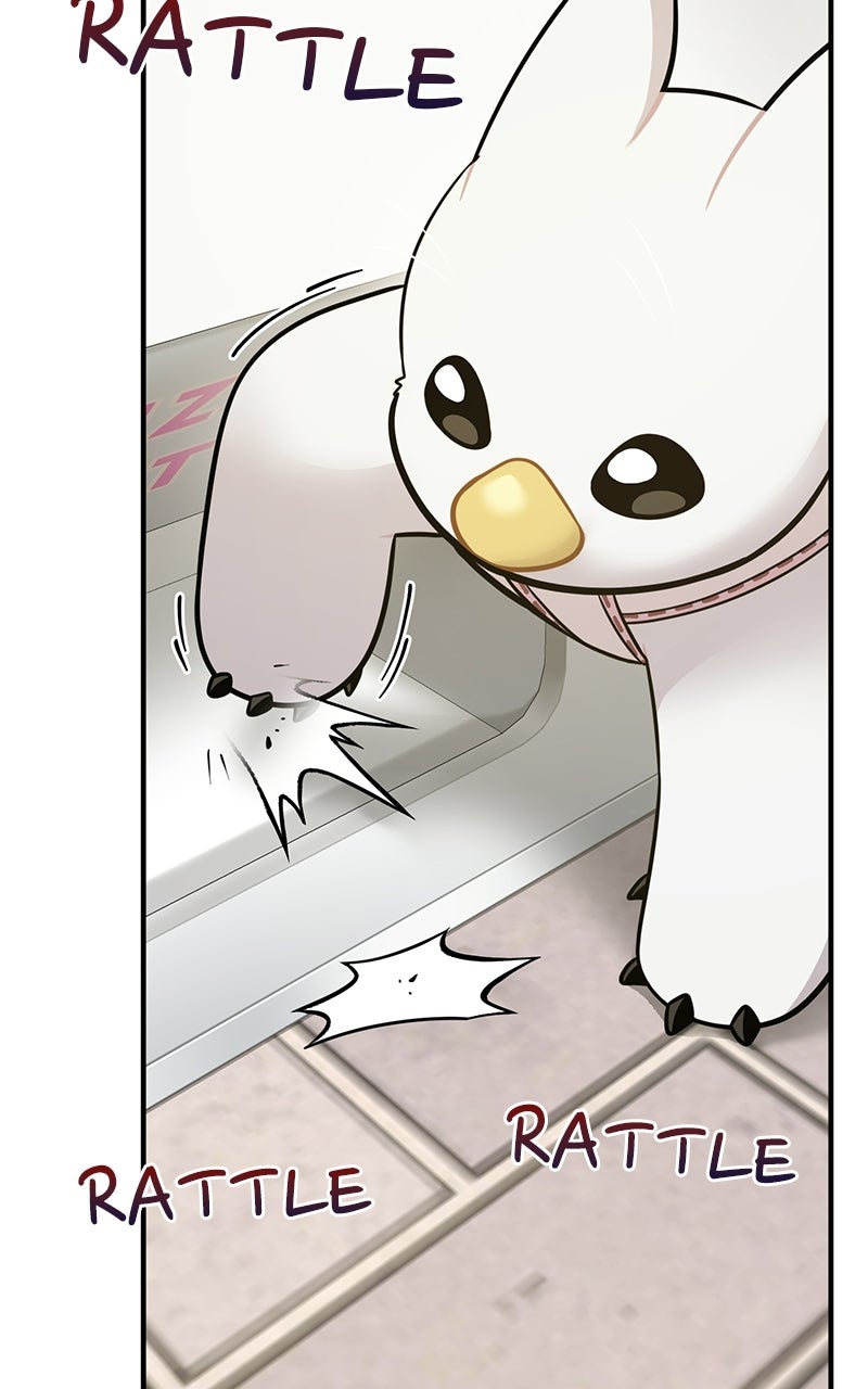 Read Hello, Little Griffin! chapter 7 image 50 on Lezhin