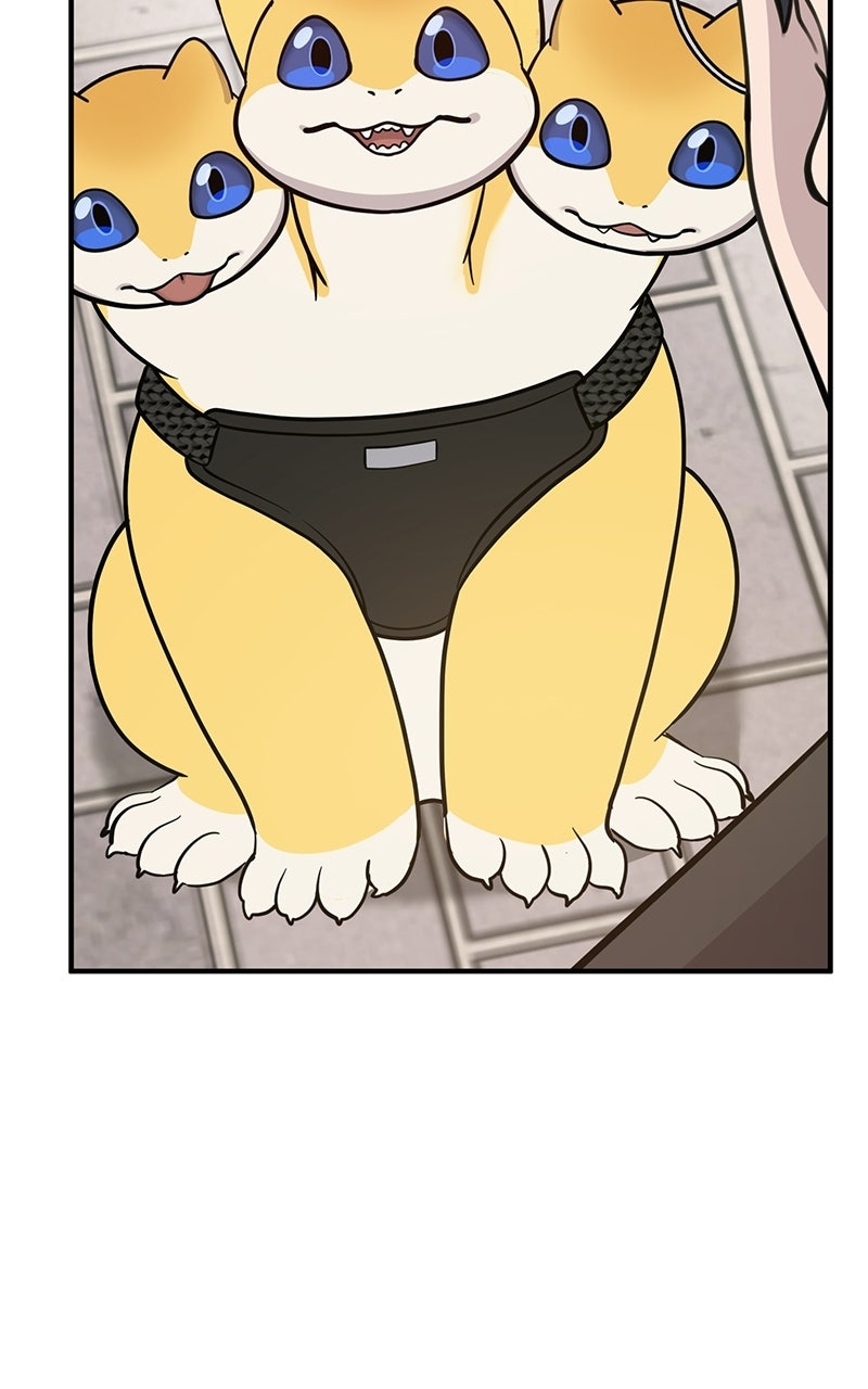 Read Hello, Little Griffin! chapter 7 image 75 on Lezhin