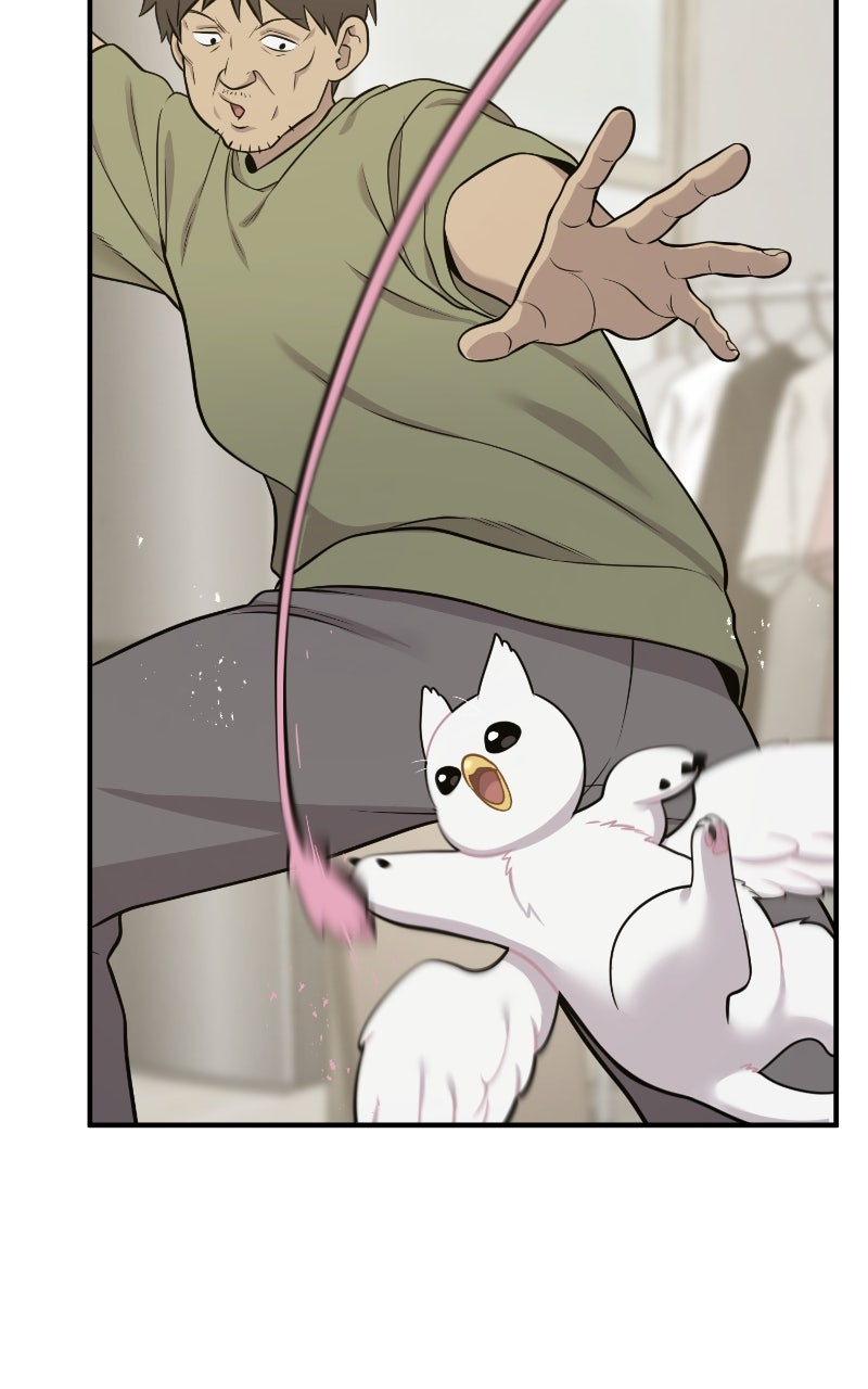 Read Hello, Little Griffin! chapter 8 image 57 on Lezhin