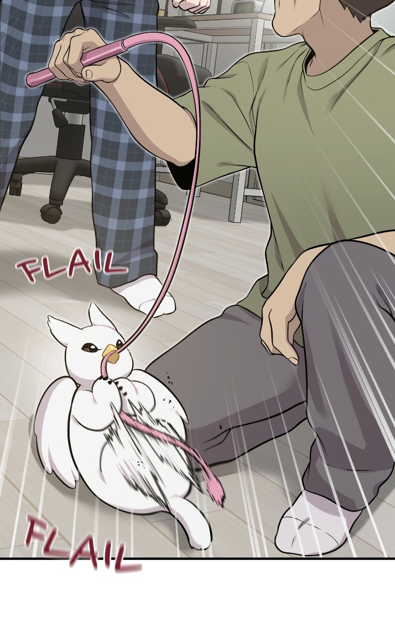 Read Hello, Little Griffin! chapter 8 image 62 on Lezhin