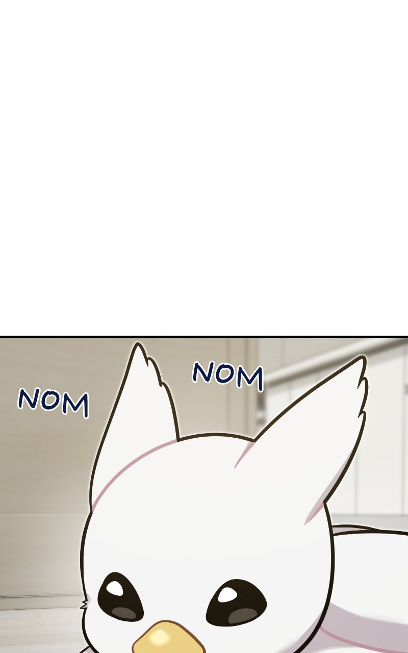 Read Hello, Little Griffin! chapter 8 image 66 on Lezhin