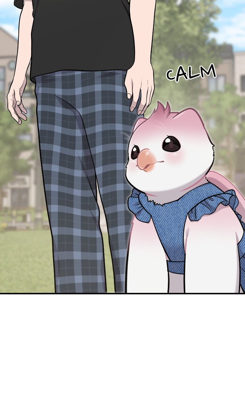 Read Hello, Little Griffin! chapter 9 image 15 on Lezhin