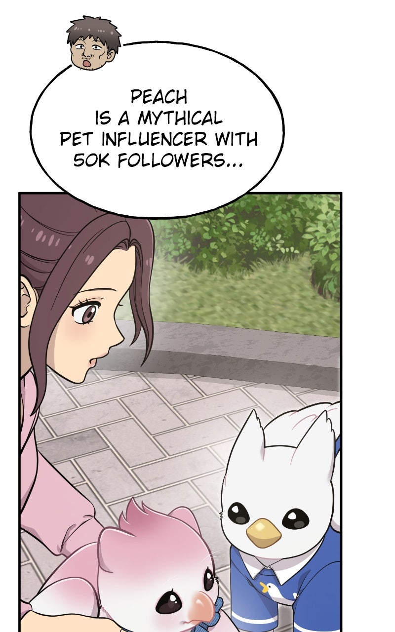 Read Hello, Little Griffin! chapter 9 image 36 on Lezhin