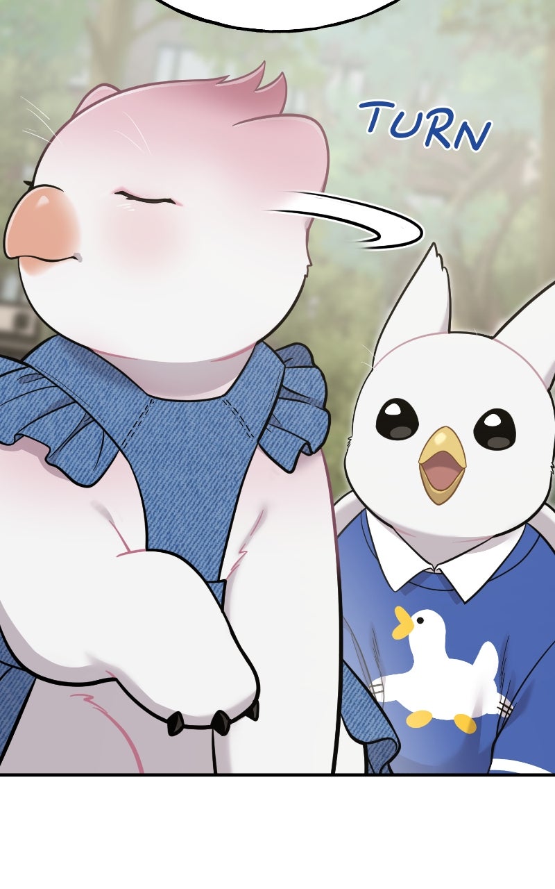 Read Hello, Little Griffin! chapter 9 image 40 on Lezhin