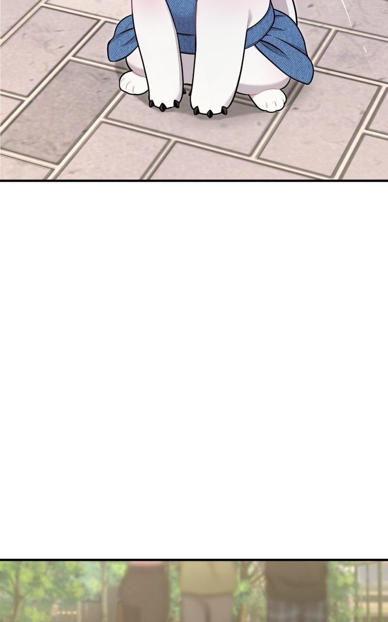 Read Hello, Little Griffin! chapter 9 image 66 on Lezhin