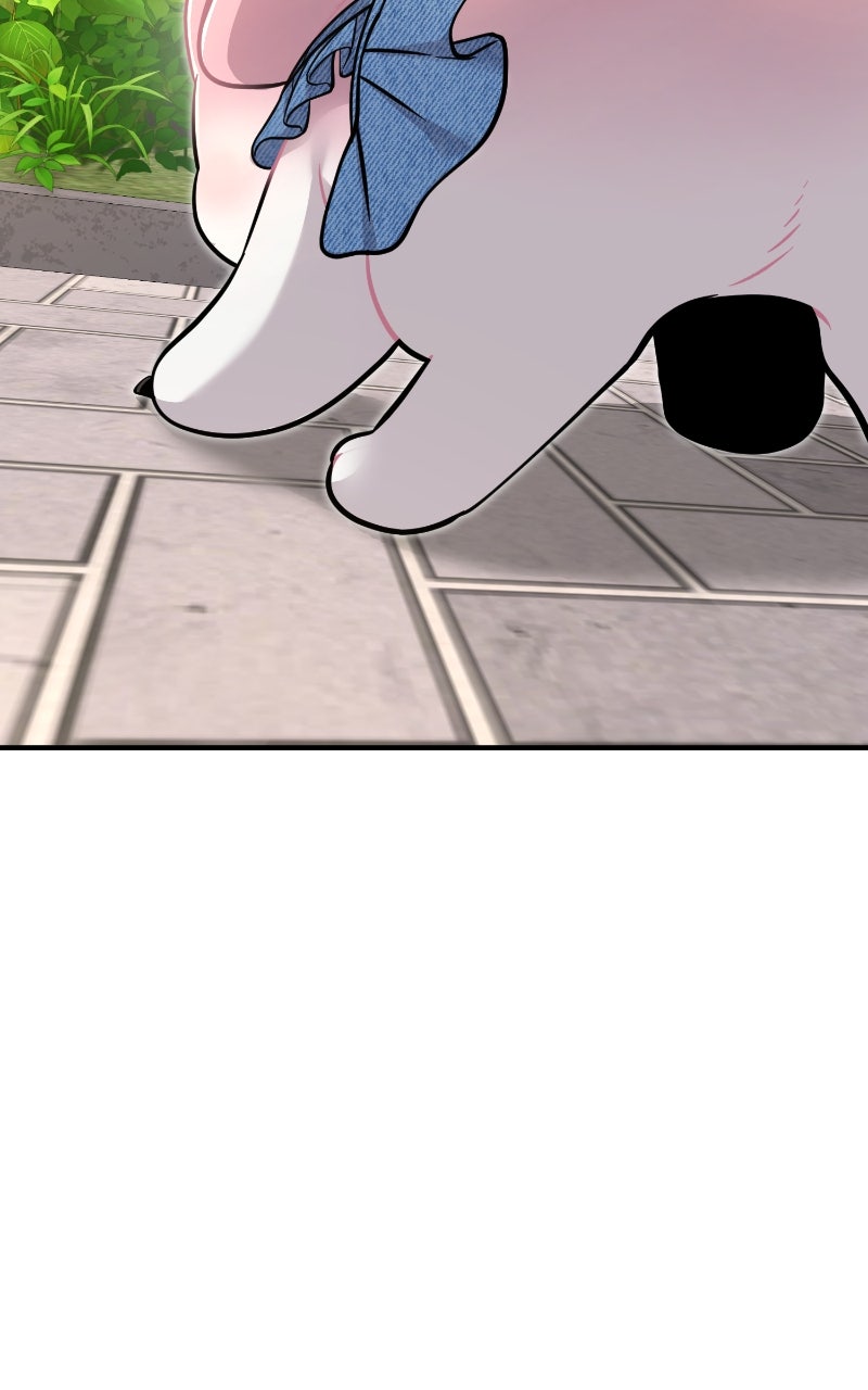 Read Hello, Little Griffin! chapter 9 image 70 on Lezhin
