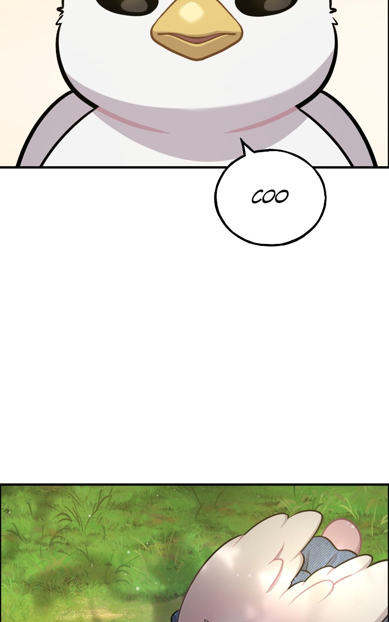 Read Hello, Little Griffin! chapter 9 image 79 on Lezhin