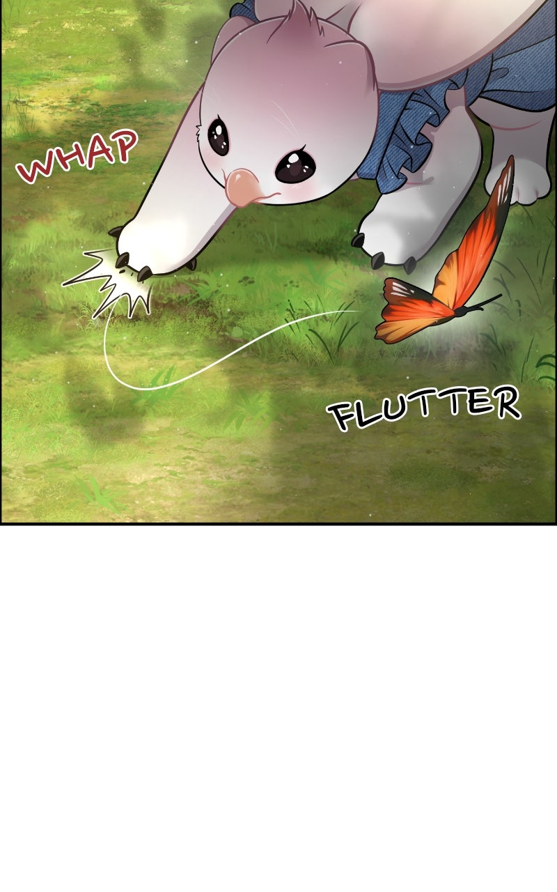 Read Hello, Little Griffin! chapter 9 image 80 on Lezhin