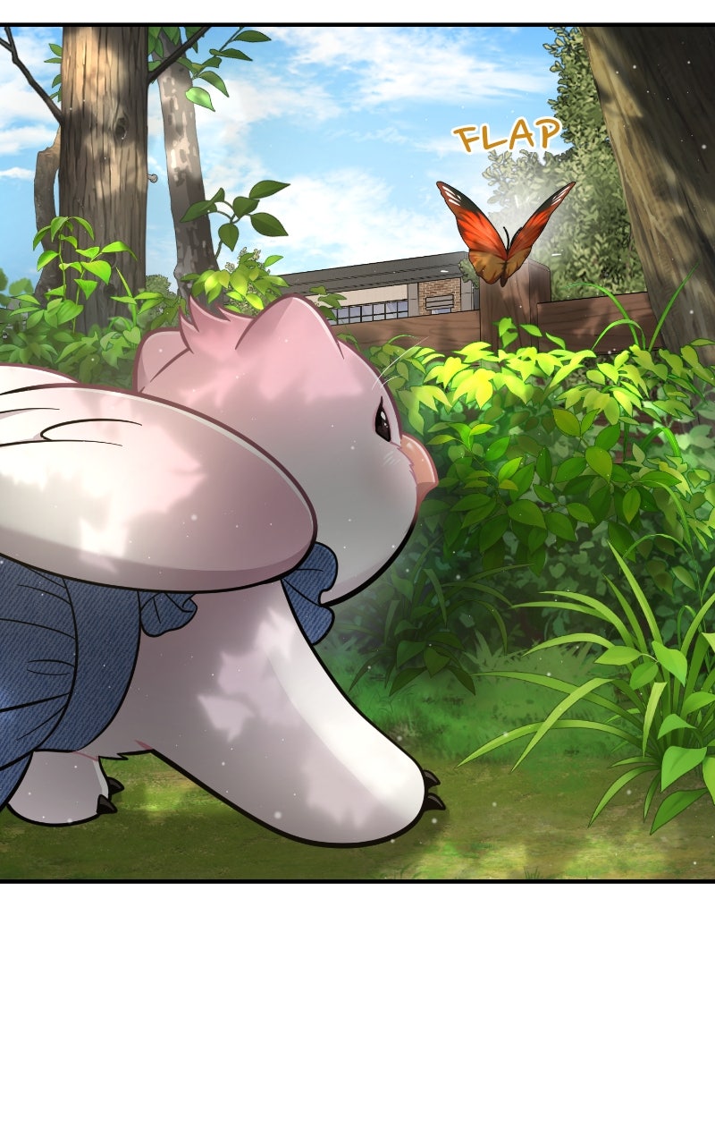 Read Hello, Little Griffin! chapter 9 image 81 on Lezhin