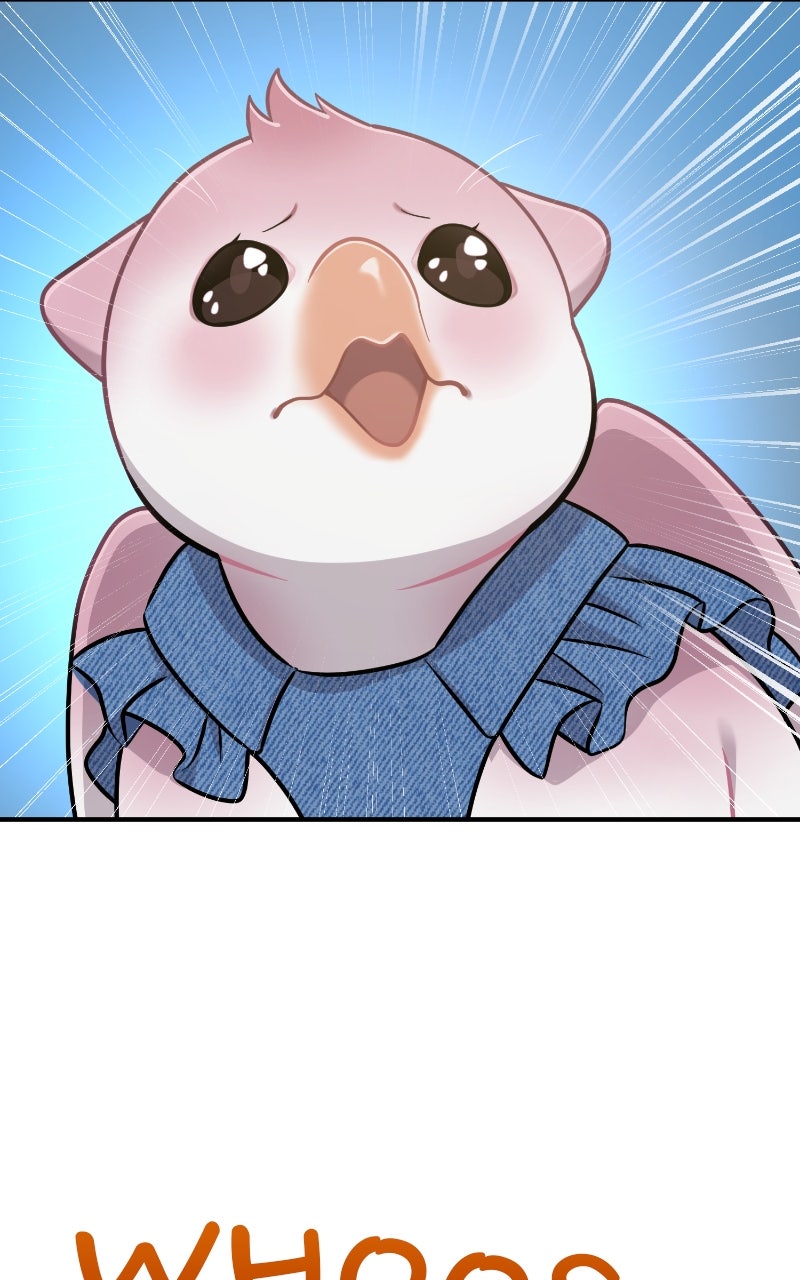 Read Hello, Little Griffin! chapter 9 image 97 on Lezhin