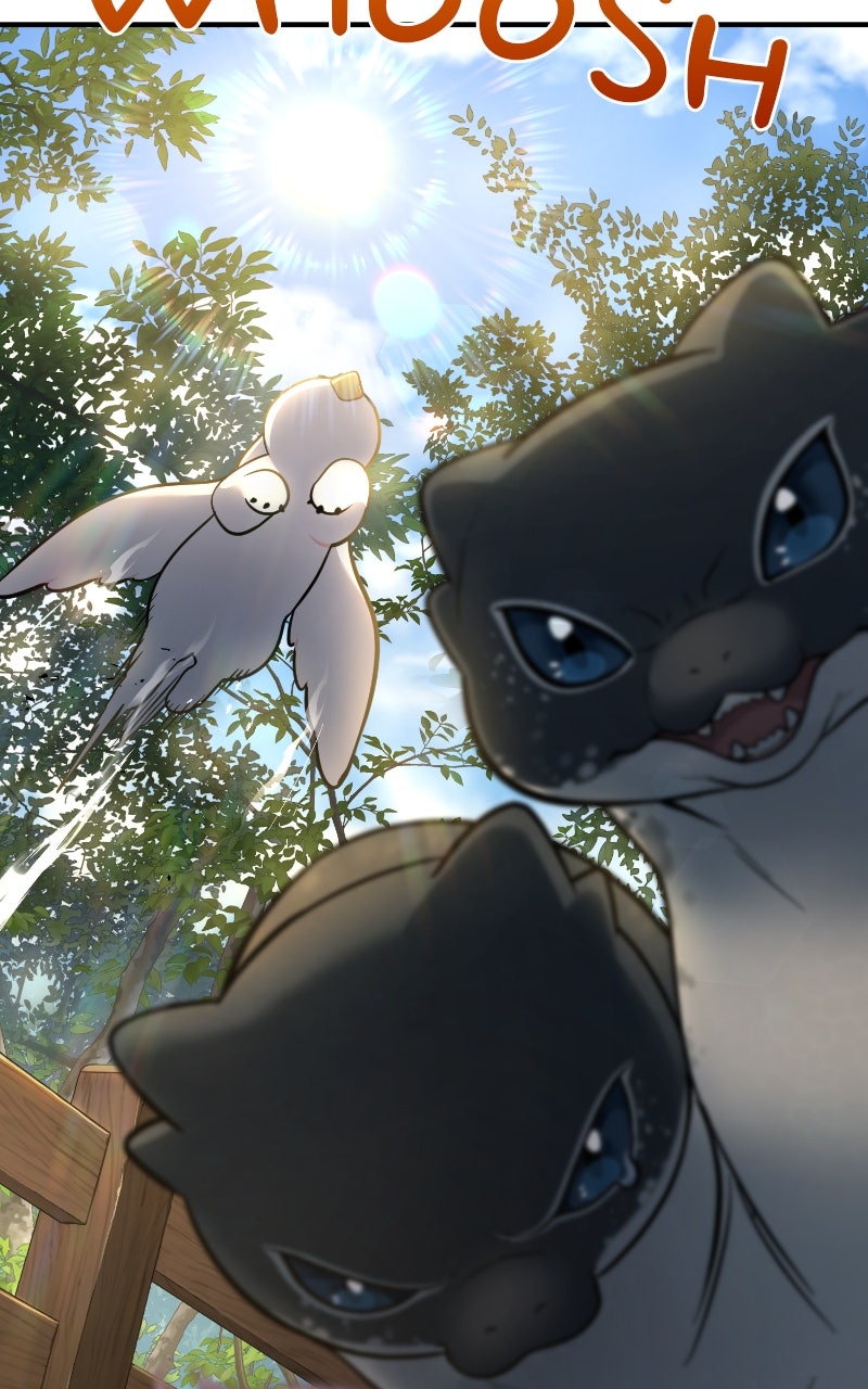 Read Hello, Little Griffin! chapter 9 image 98 on Lezhin