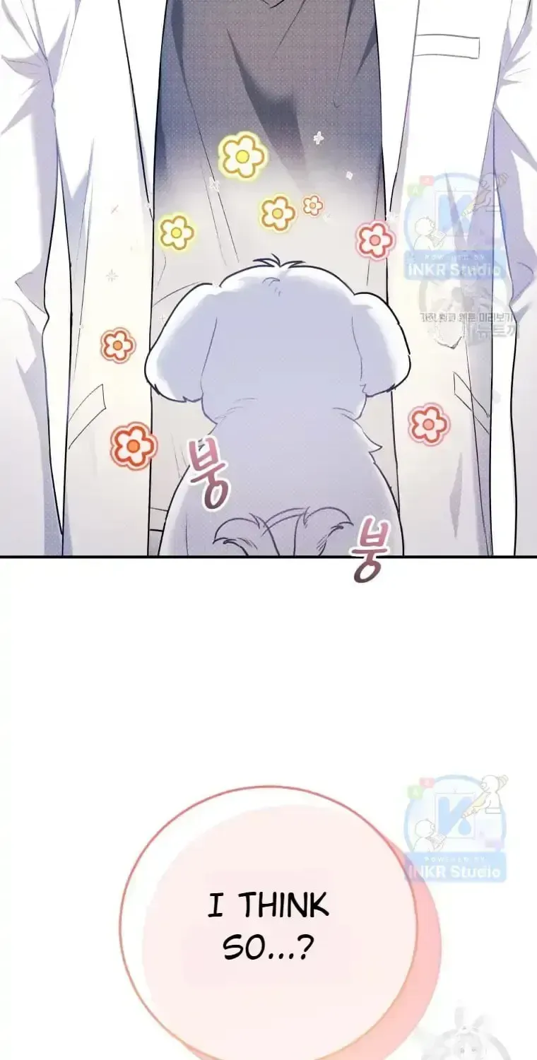 Read Hello, Mr. Veterinarian! chapter 1.1 image 109 on Lezhin