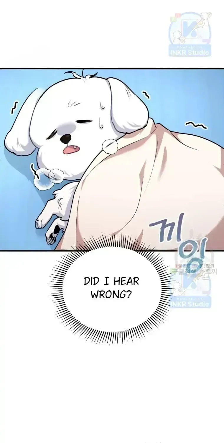 Hello, Mr. Veterinarian! Chapter 1.2 page 86 - 