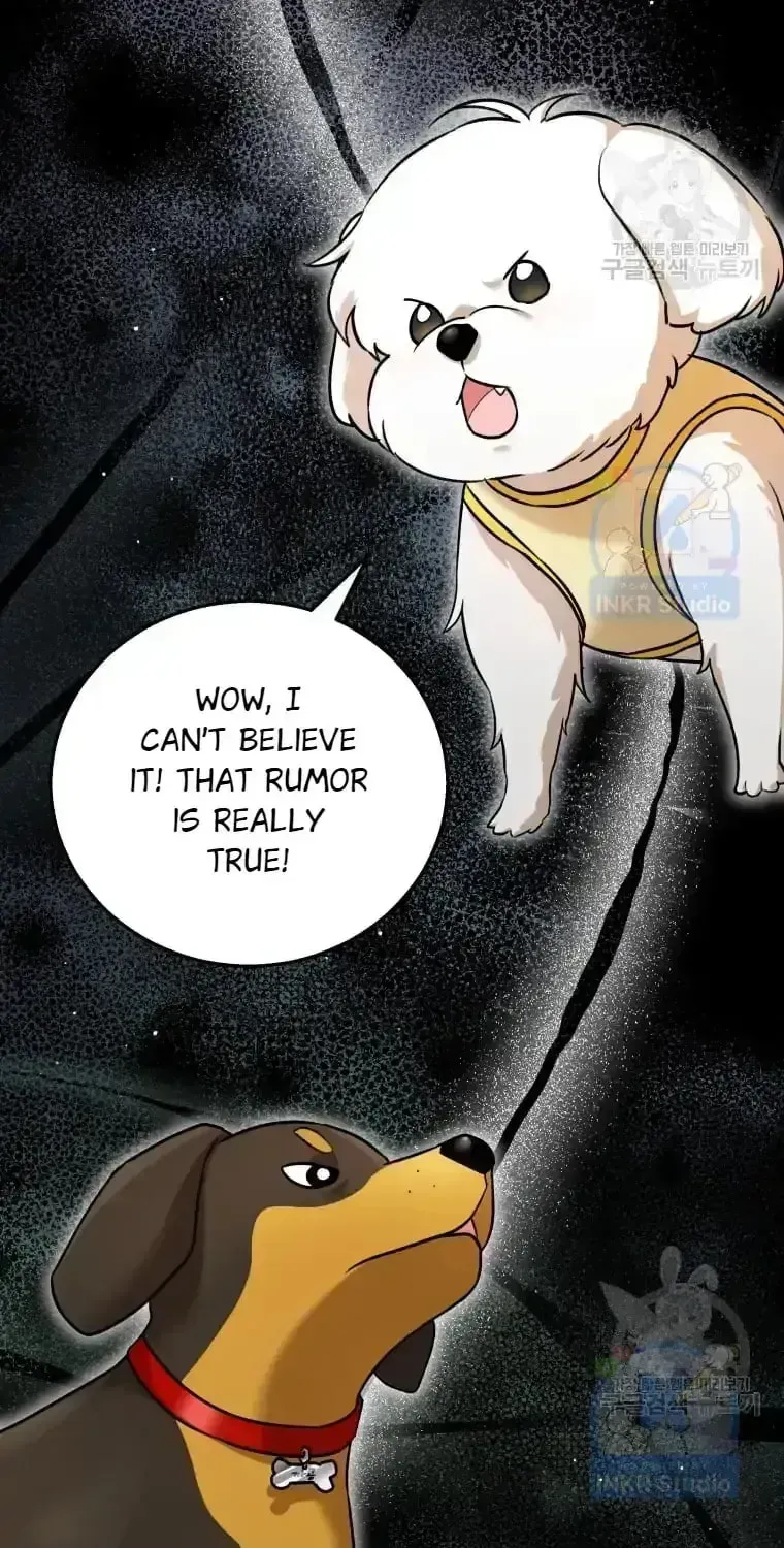 Hello, Mr. Veterinarian! Chapter 1.3 page 3 - 