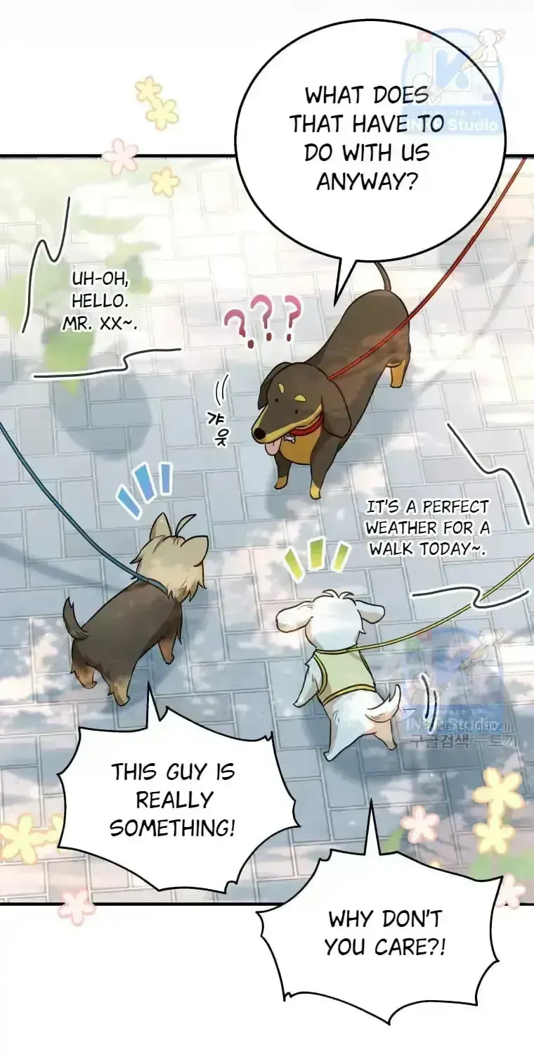 Hello, Mr. Veterinarian! Chapter 1.3 page 5 - 