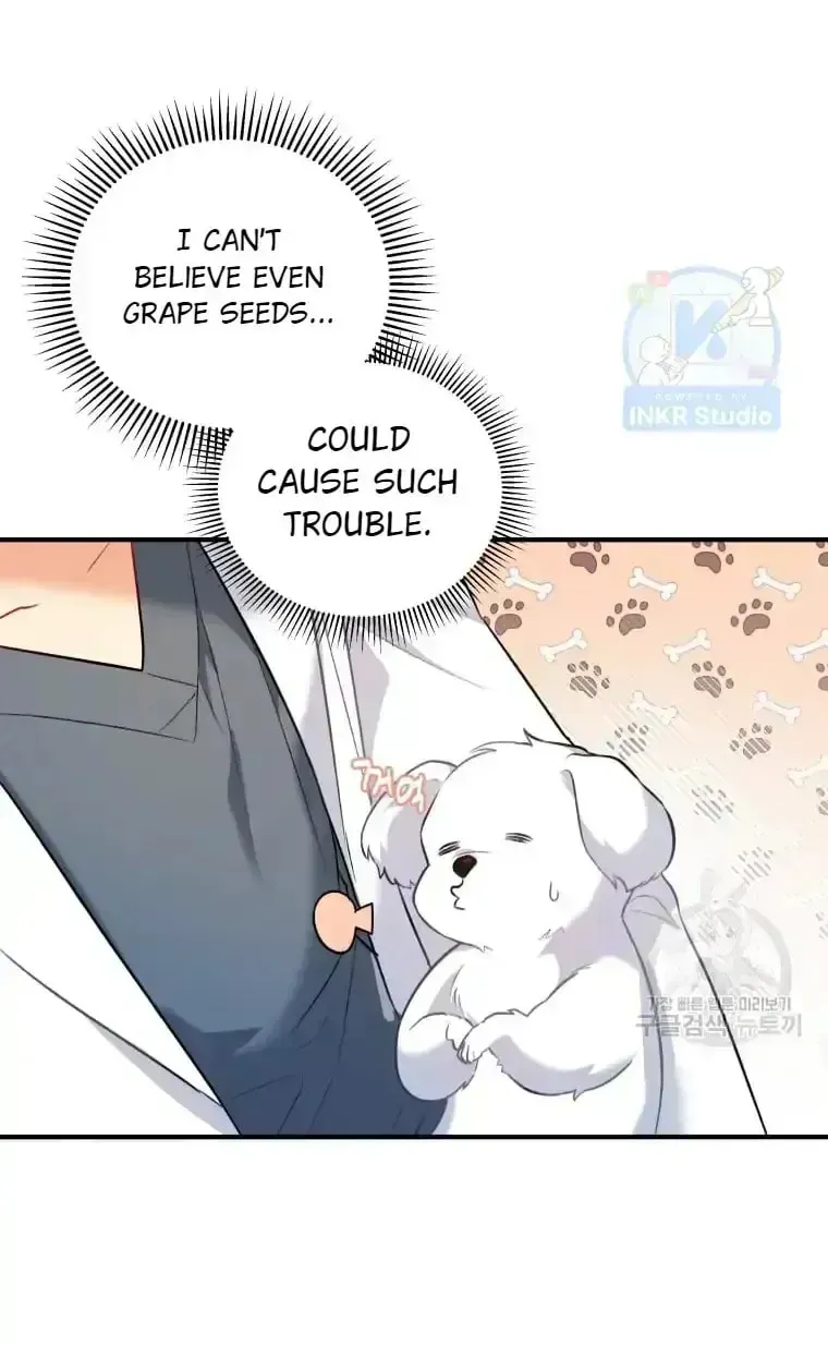 Hello, Mr. Veterinarian! Chapter 1.3 page 99 - 