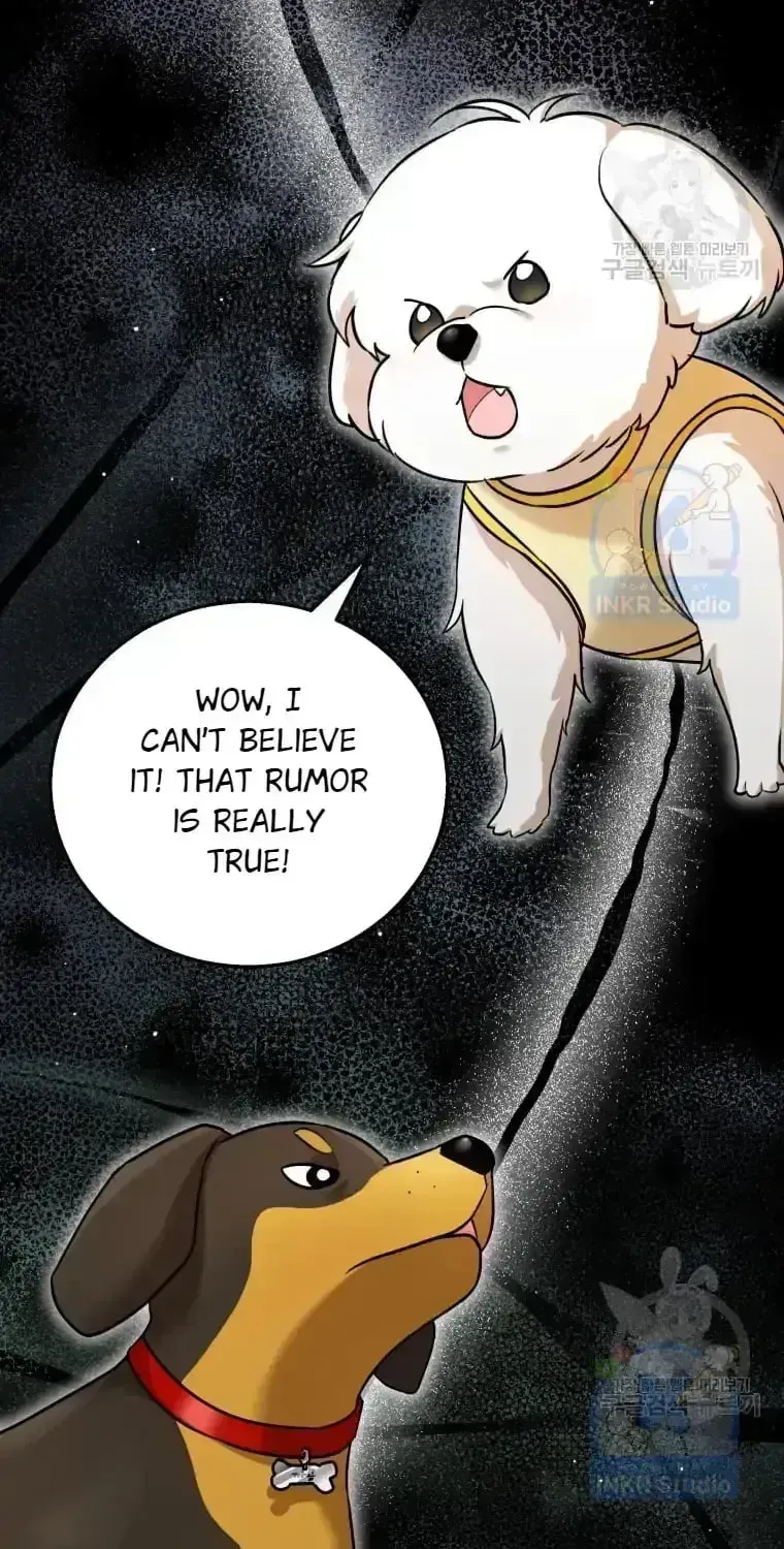 Hello, Mr. Veterinarian! Chapter 1.4 page 3 - 