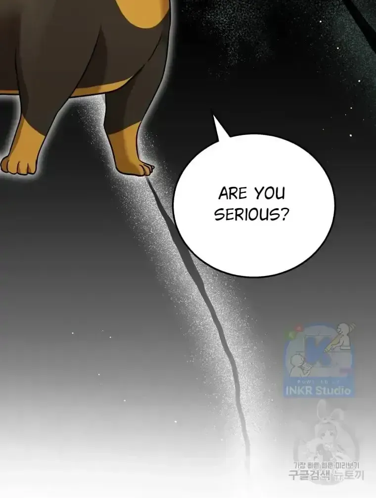 Hello, Mr. Veterinarian! Chapter 1.4 page 4 - 