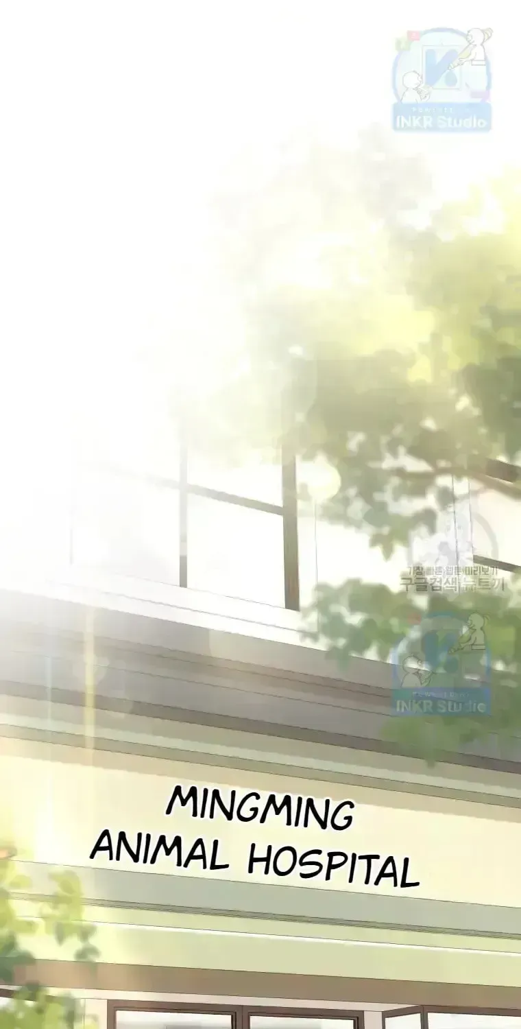 Hello, Mr. Veterinarian! Chapter 1.4 page 41 - 